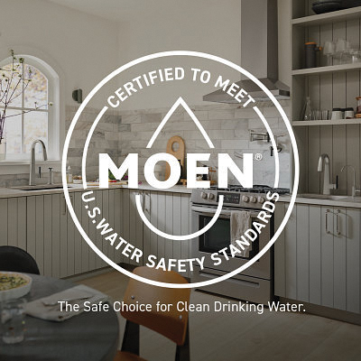 Moen&reg; 7664BG 2495444