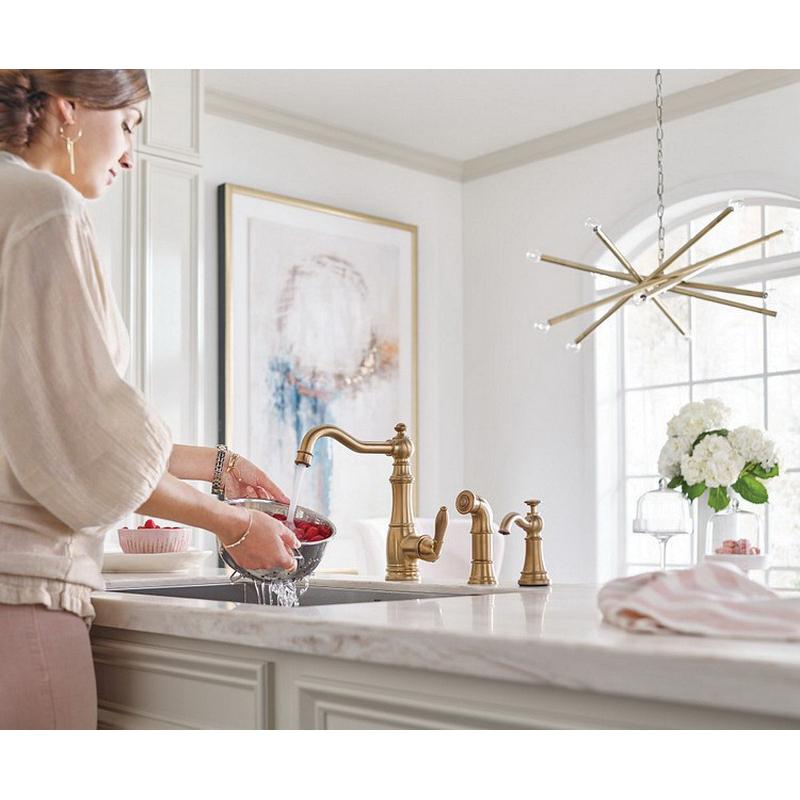 Moen&reg; S3945BG 2496483