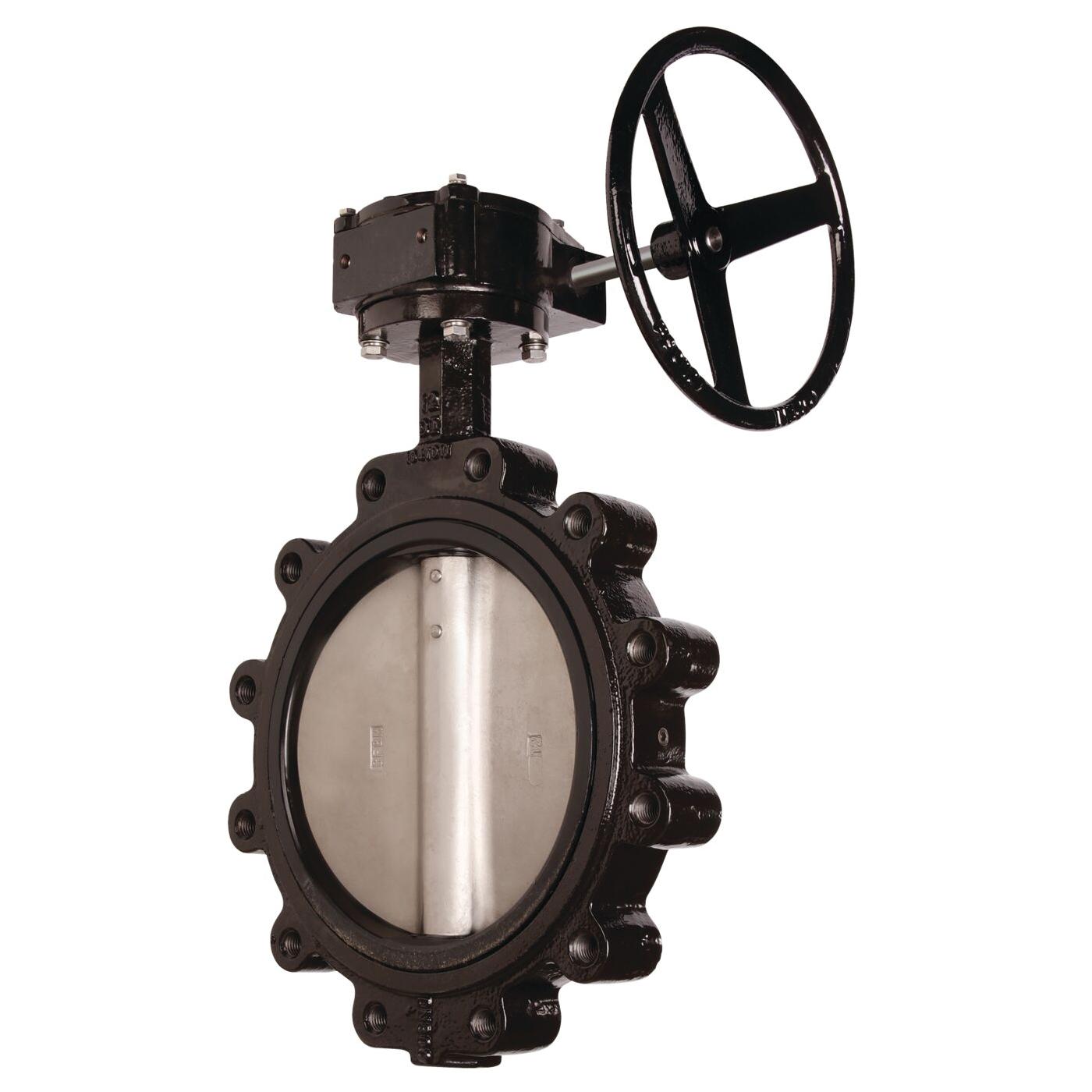 8 inch DI Butterfly Valve 316SS Disc Lug Style EPDM Gear Operator thumbnail 2