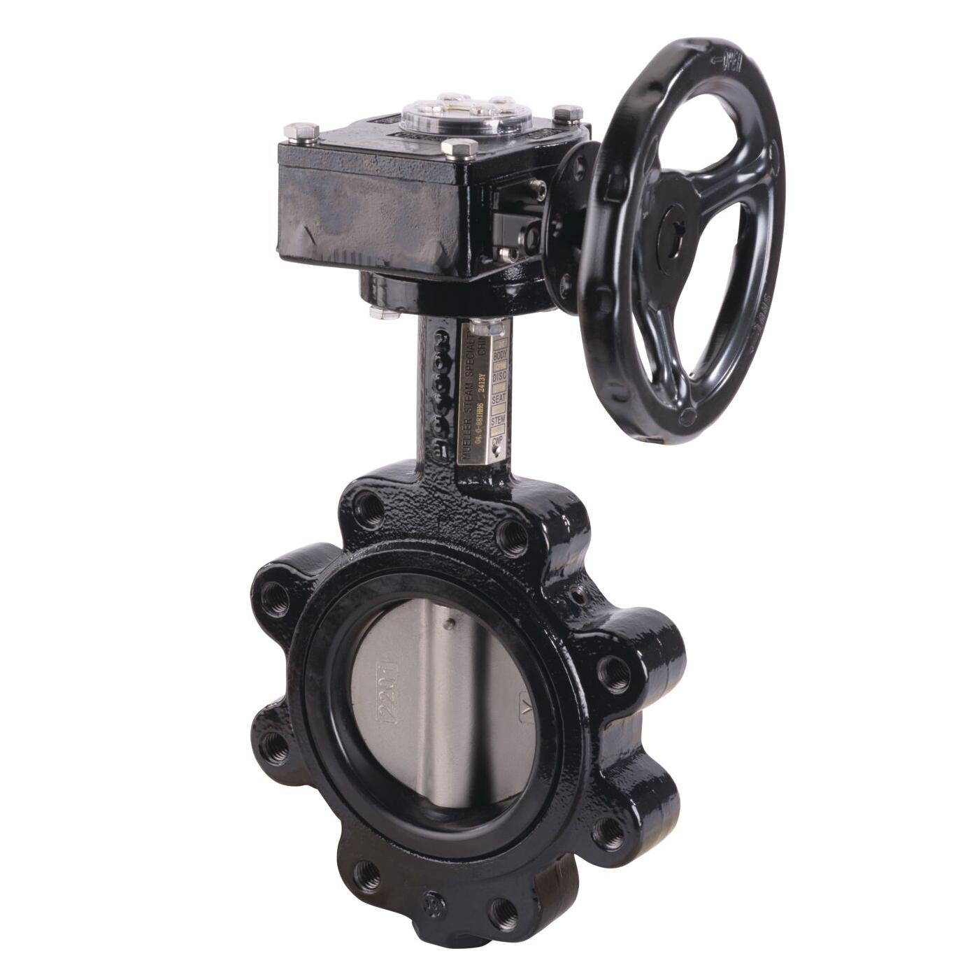 8 inch DI Butterfly Valve 316SS Disc Lug Style EPDM Gear Operator thumbnail 3