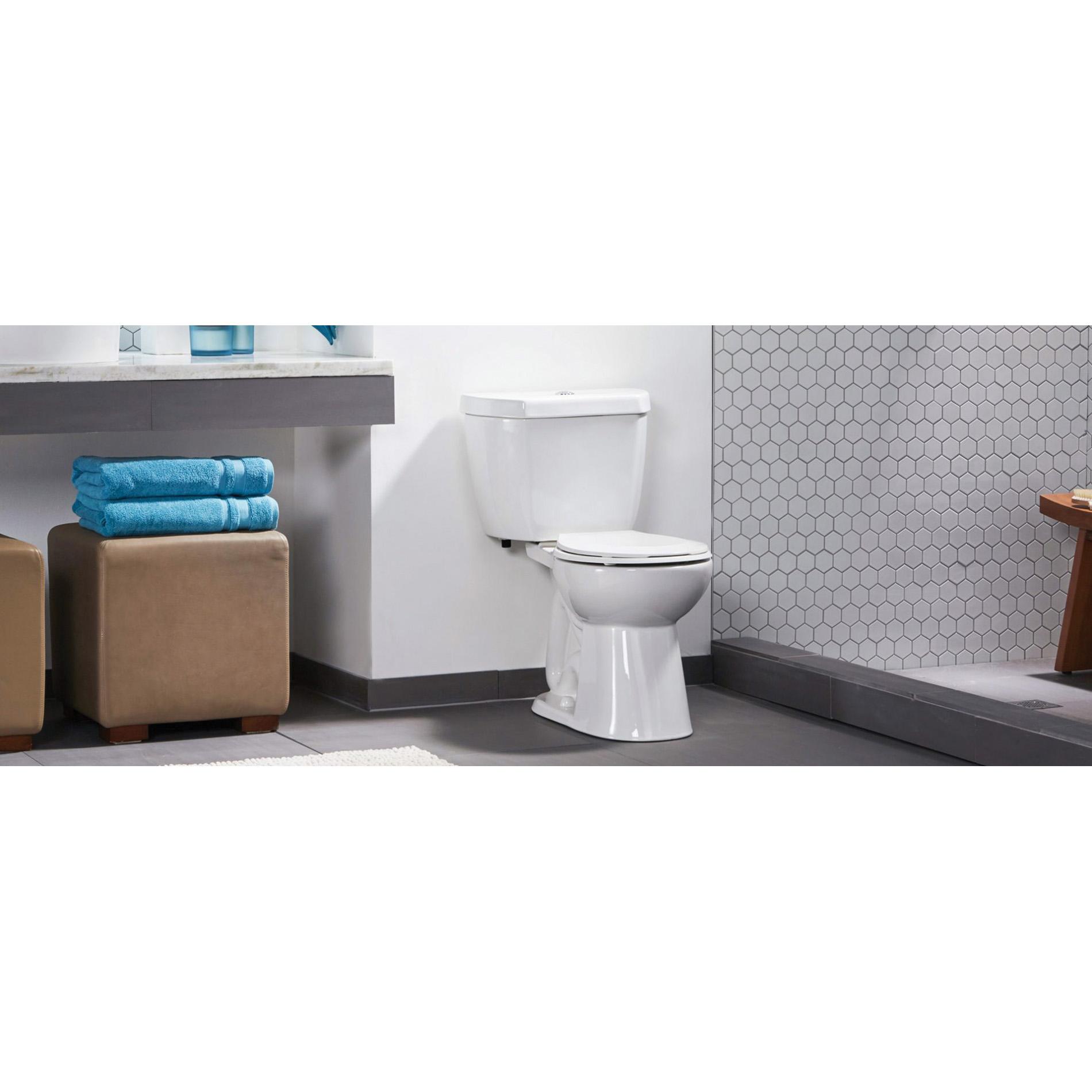 Two Piece Toilets