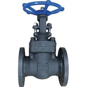 Ohio Valve GA150FE Forged Carbon Steel Gate Valve - Flanged - Class 150
