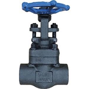 Ohio Valve GA800TE Forged Carbon Steel Gate Valve - NPT - Class 800