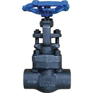Ohio Valve GL800SW Forged Carbon Steel and Stellite Standard Port Globe Valve - Socket Weld - 800 psi - </- 425 deg C