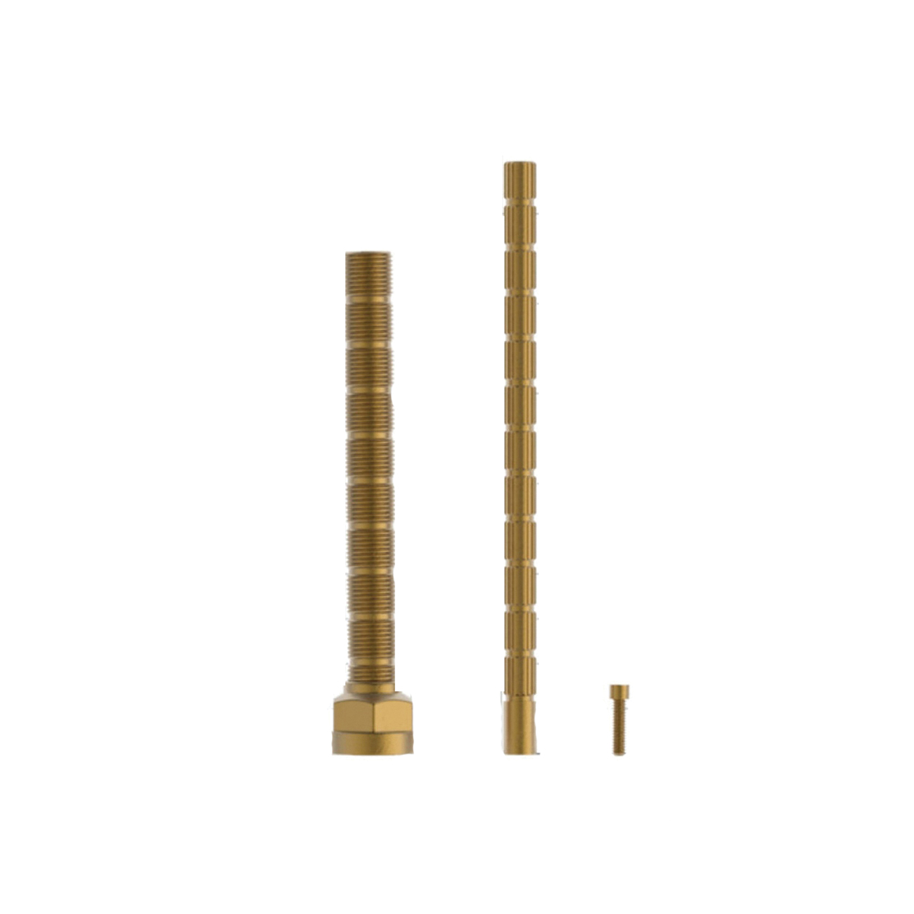 PHYLRICH® 2-289 2848486
