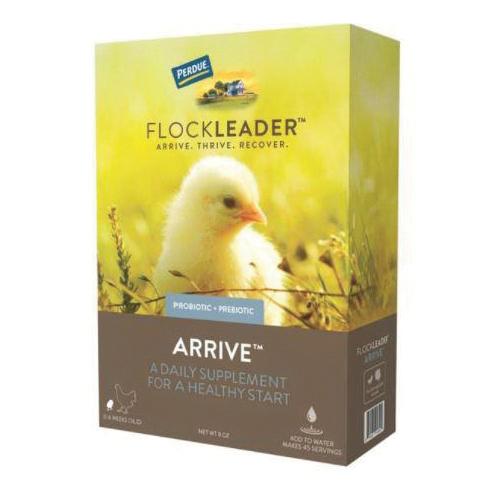FlockLeader&trade; 81050