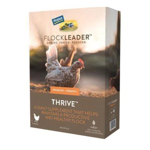 FlockLeader&trade; 81051