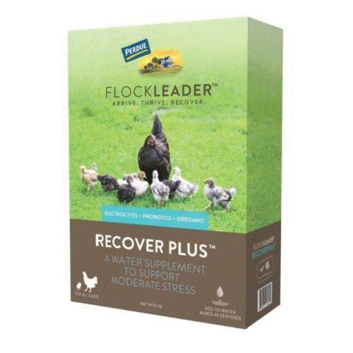 FlockLeader&trade; 81053