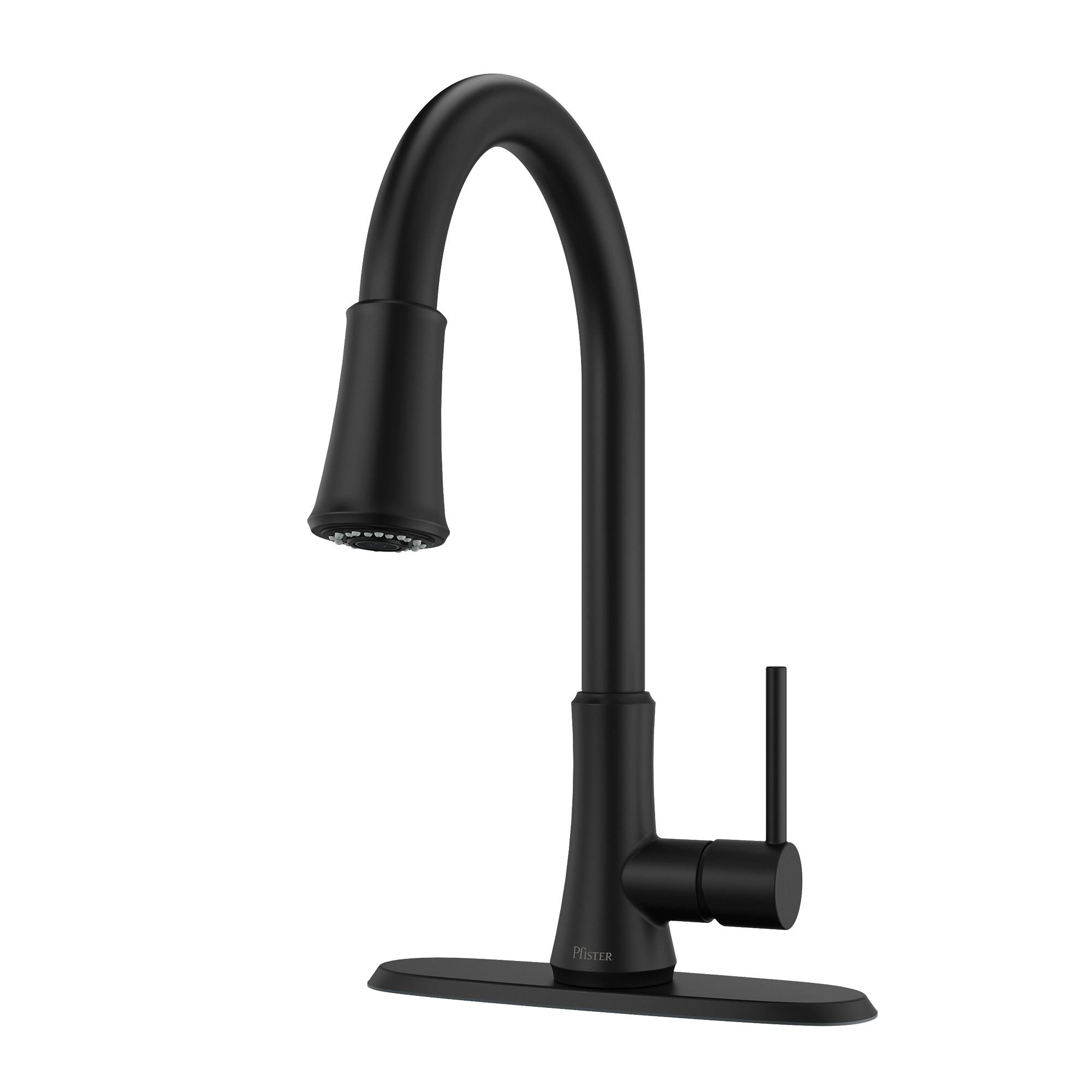 Pfister® G529-PF2B 172448