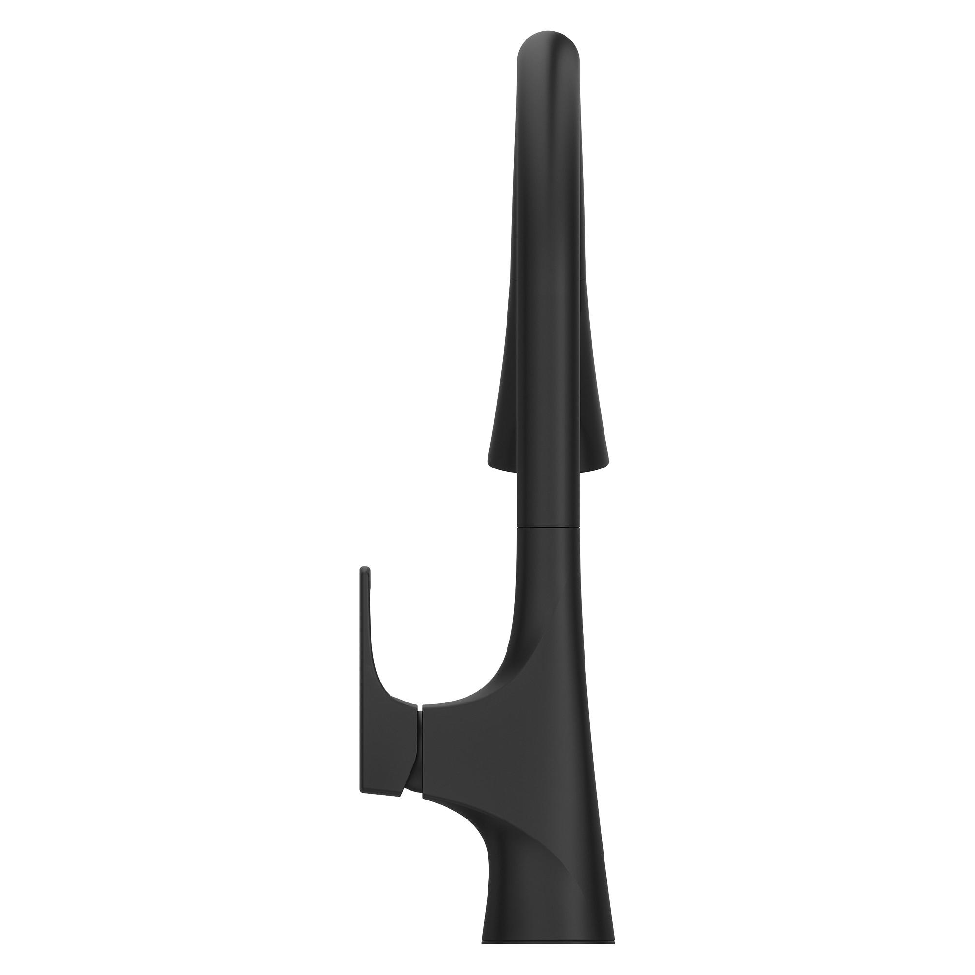 PfISTER® Norden 1 Handle Pull-Down Kitchen Faucet, Matte Black thumbnail 4