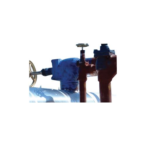 Polyguard® RG-CHW-5GL 5NXXPOLYGRGCHW5GL