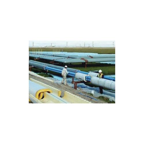 Polyguard® RG-CHW-5GL 5NXXPOLYGRGCHW5GL