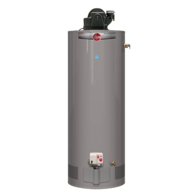 Rheem® 621982 PROG50-42N RH67 PV