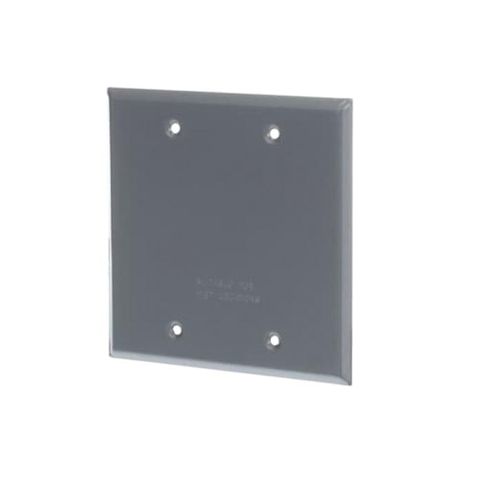 Red Dot® 2CCB Weather-Proof Receptacle Blank Cover, 2 -Gang, Steel, Silver