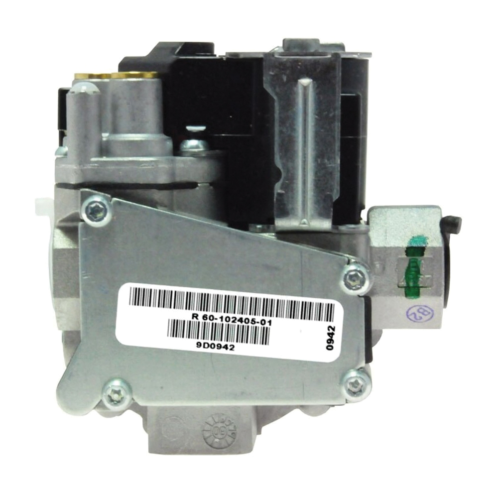 Rheem® 60-102405-01 1099649