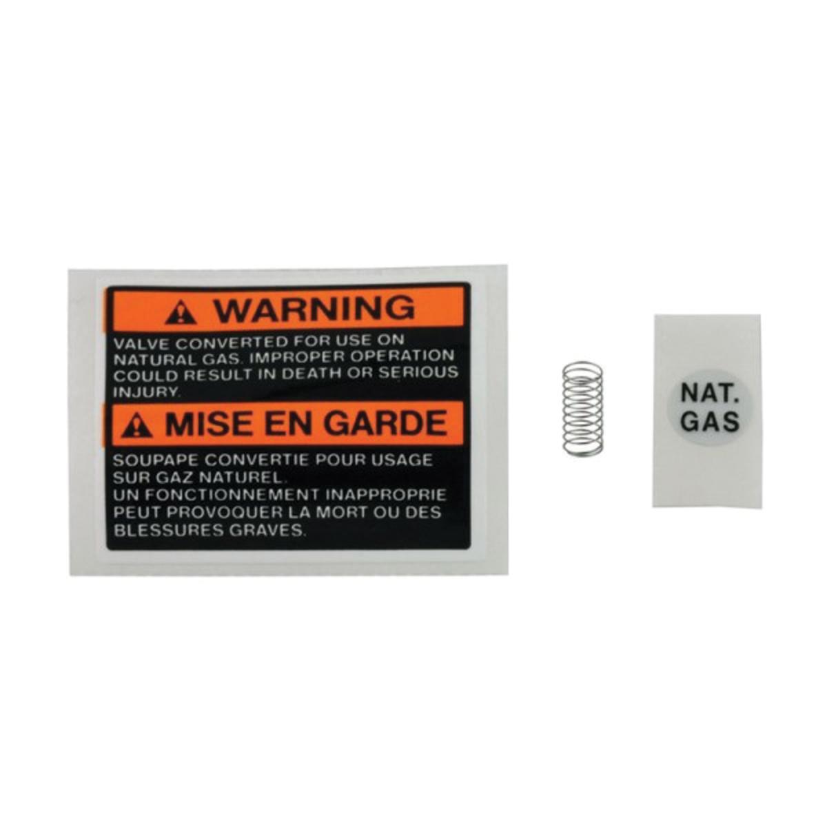 Rheem® 60-21193-02 Valve Spring Kit