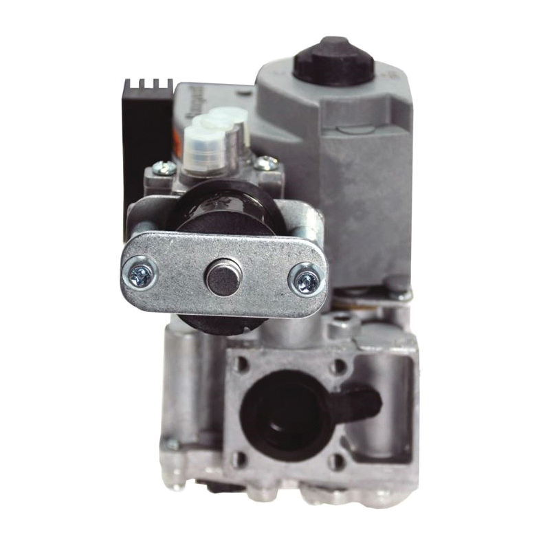 Rheem® 60-24394-01 1087424