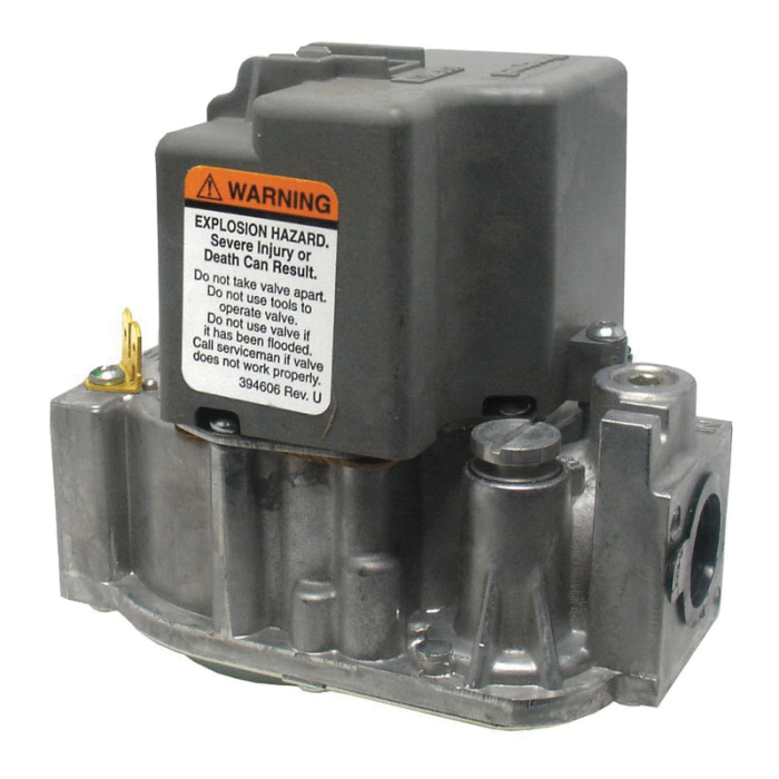 Rheem® 60-24394-01 1087424