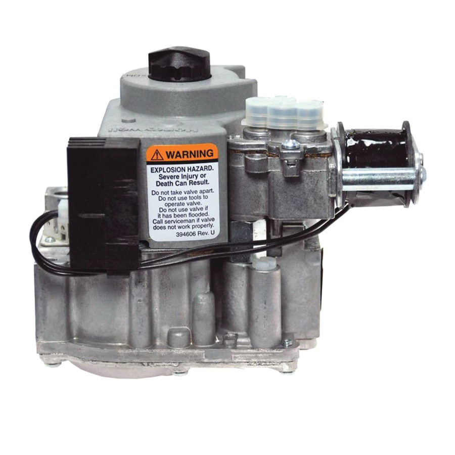 Rheem® 60-24394-01 1087424