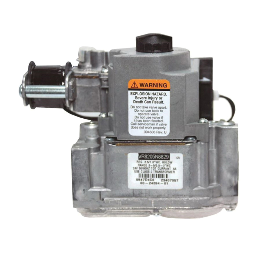 Rheem® 60-24394-01 1087424