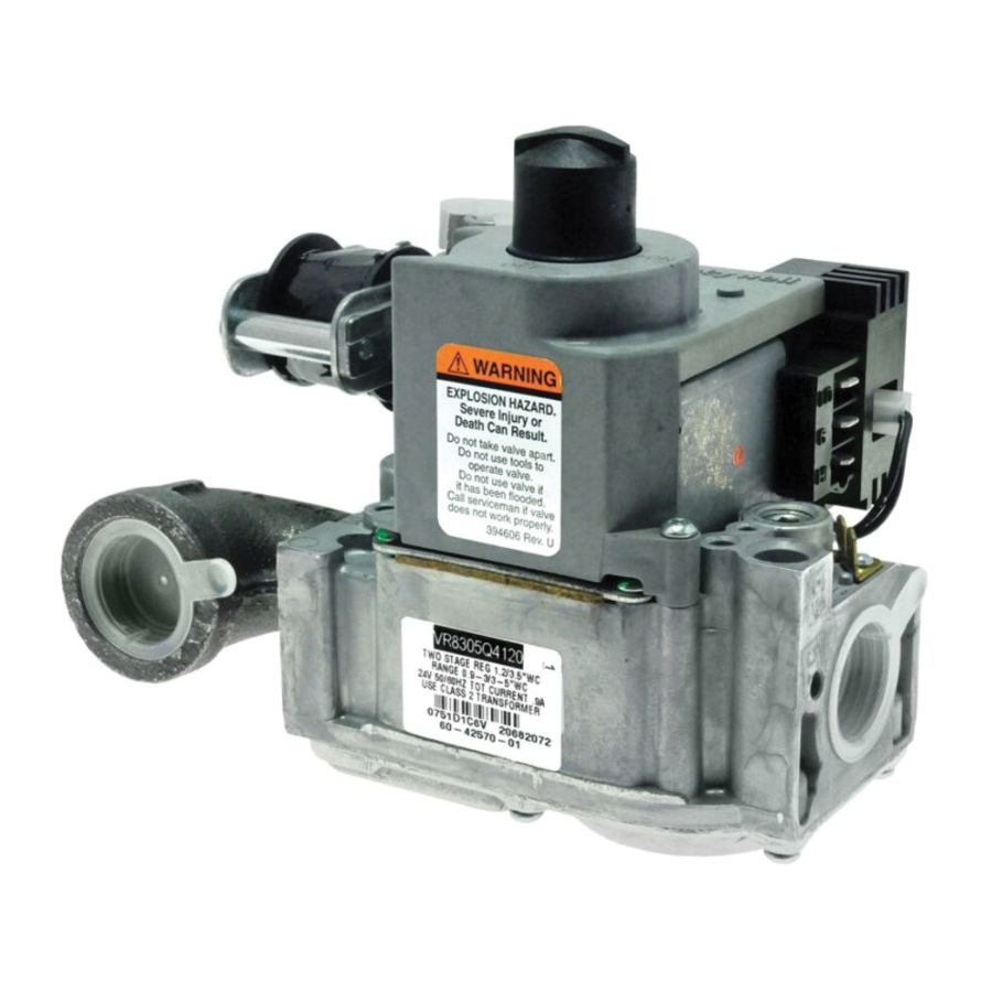Rheem® 60-42570-82