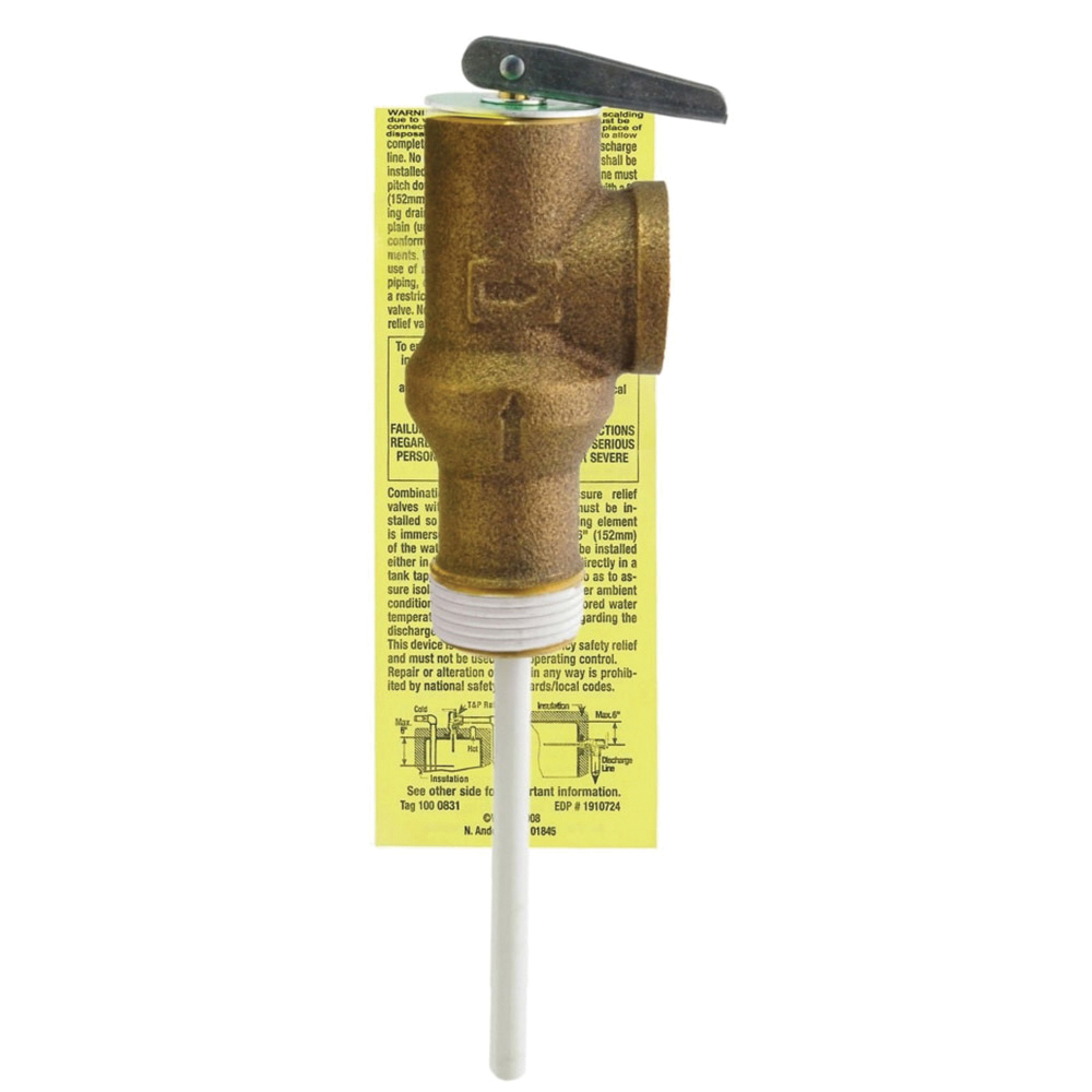 Rheem® AP14901G-1 1027848