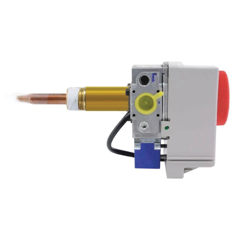 Rheem® SP20161A SP20161A