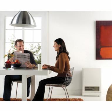 Rinnai&reg; EX08DTN RINEX08DTN