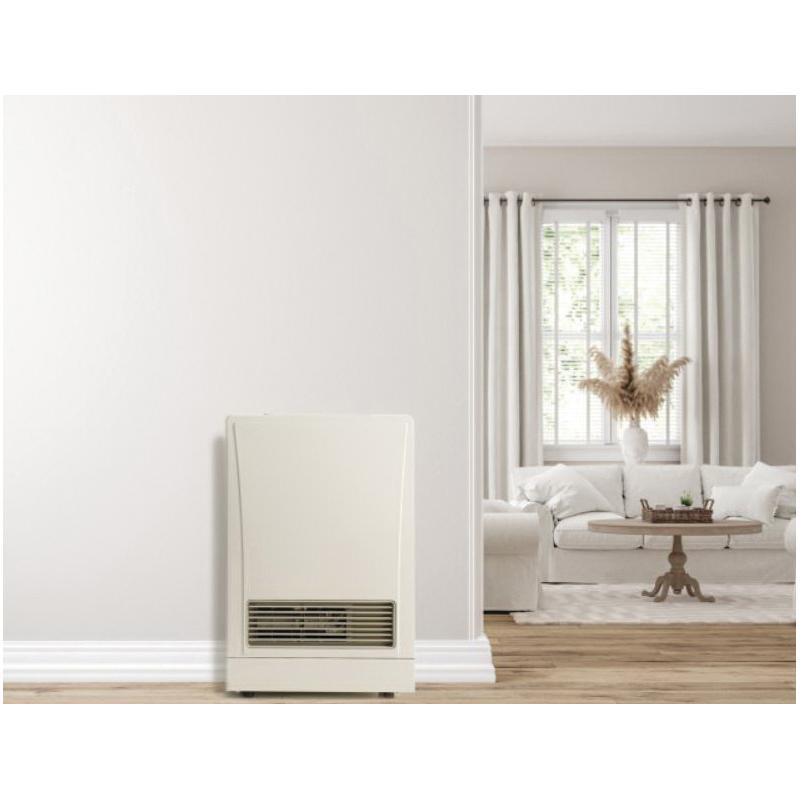 Rinnai® EX11CTN RINEX11CTN