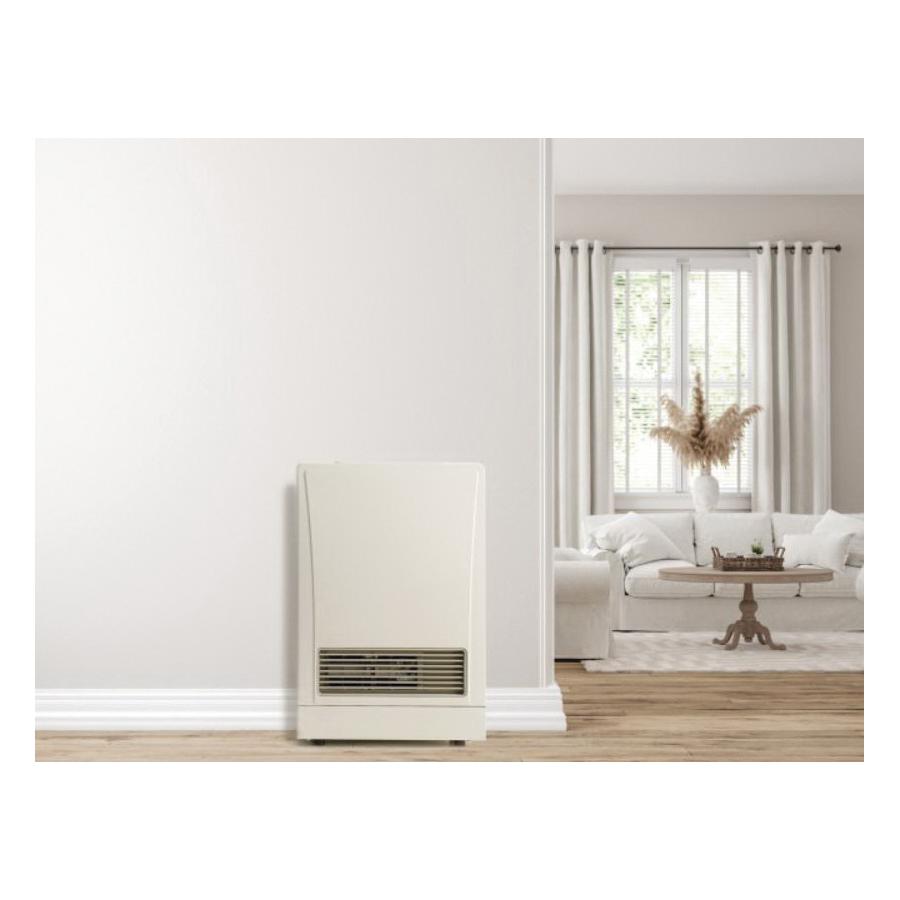 Rinnai® EX11CTP RINEX11CTP