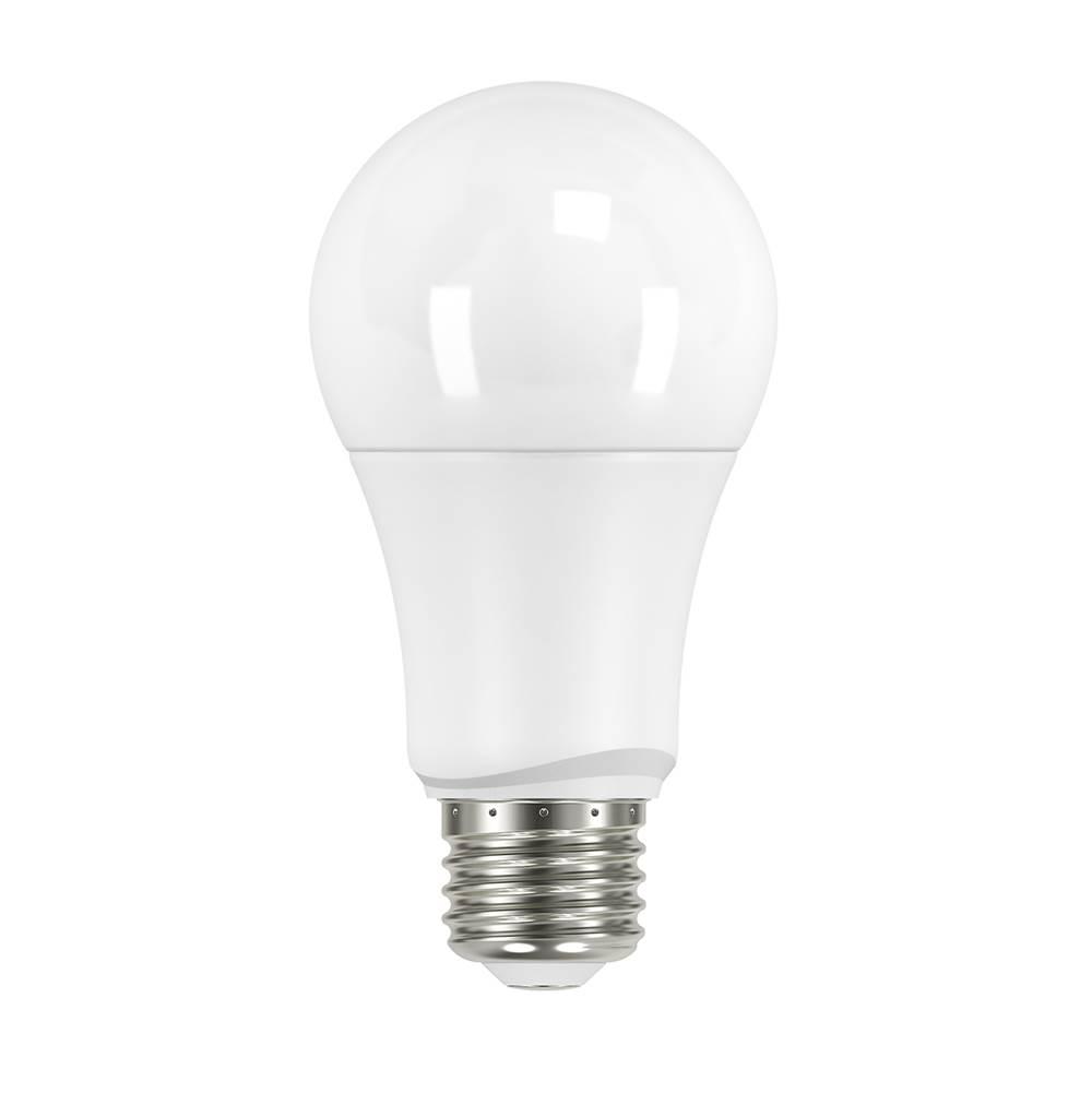 SATCO&reg; S29589