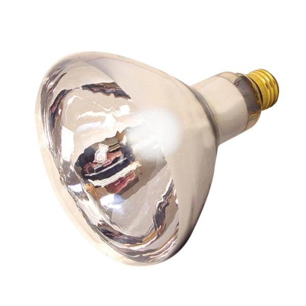 SATCO&reg; S3013 SAT S3013