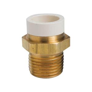 Sioux Chief 646-CG2 Straight Adapter, 1/2 in CPVC x 1/2 in MIP, 1-1/2 in, Brass