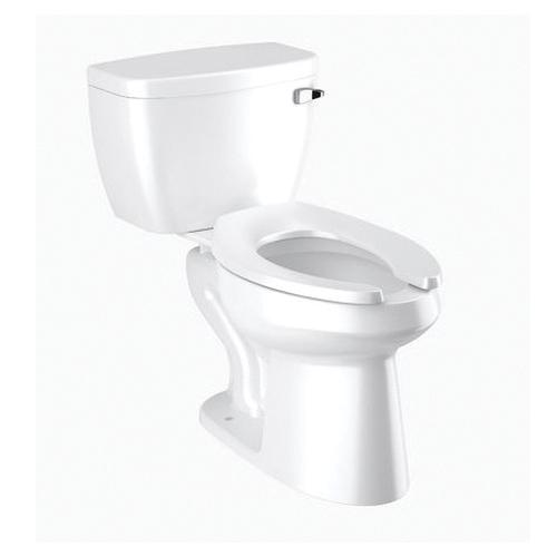 Sloan&reg; 2108029 PI6MP-6FP-90-HVY