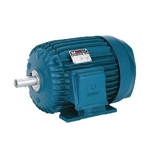 TRANE&reg; MOT16177 AC Blower Motor, 50/60 Hz, 1 ph -Phase