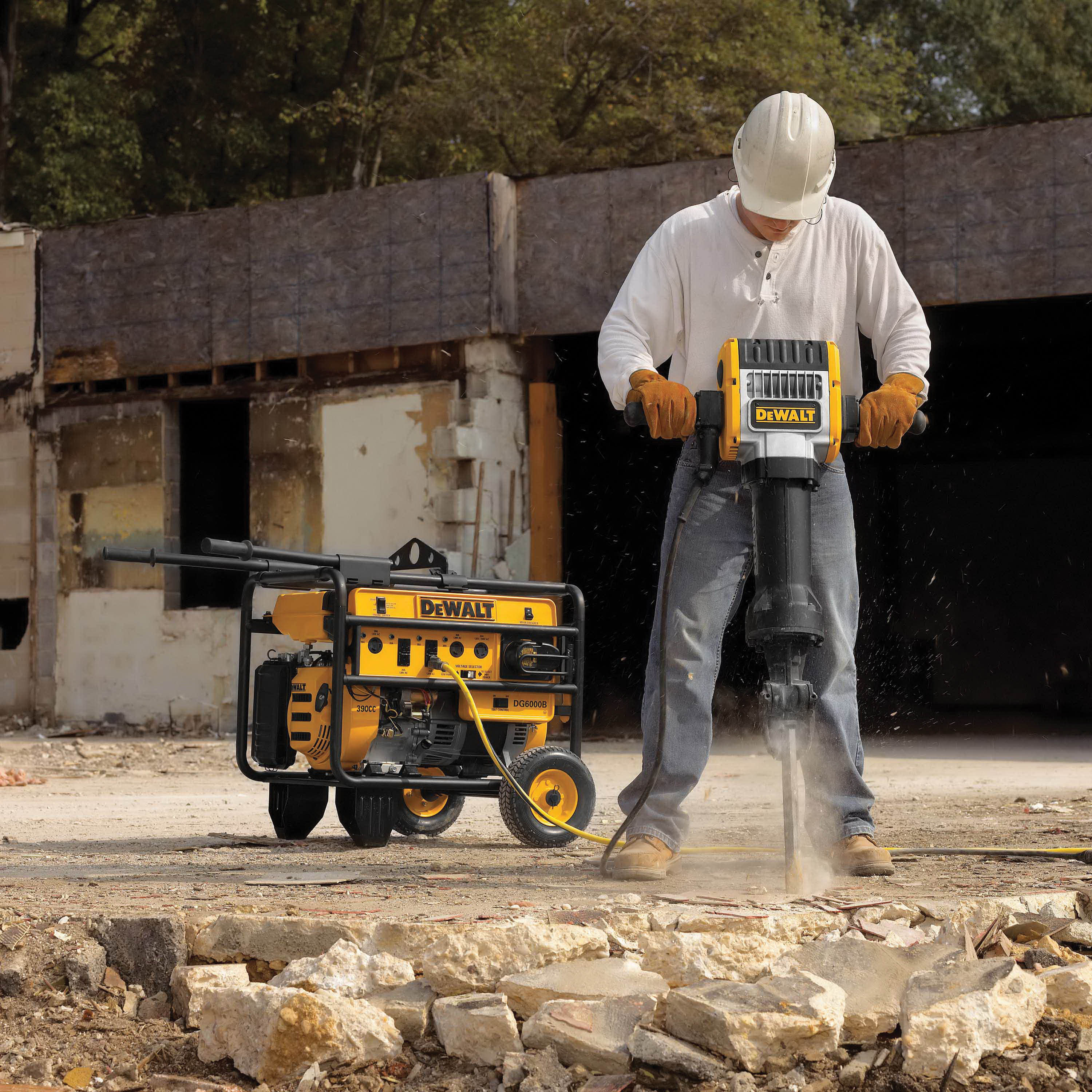 DeWALT® D25980K 1019615