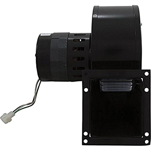 Raypak® 007414F 1016709