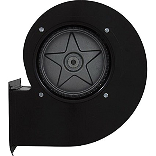 Raypak® 007414F 1016709