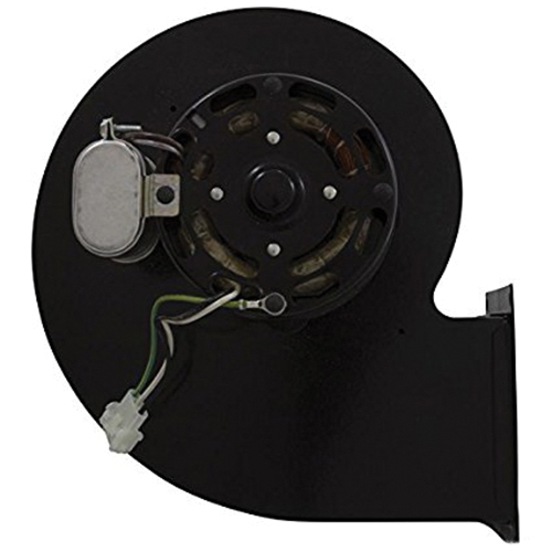 Raypak® 007414F 1016709