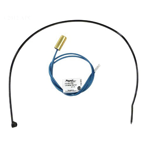 Raypak® 010787F