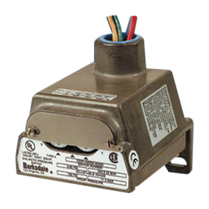 Barksdale® CD1H-H2SS