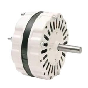 Williams™ P062101