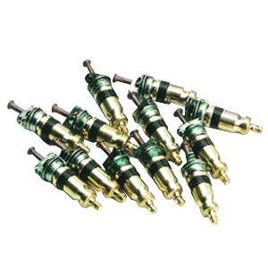 CPS® AVS1