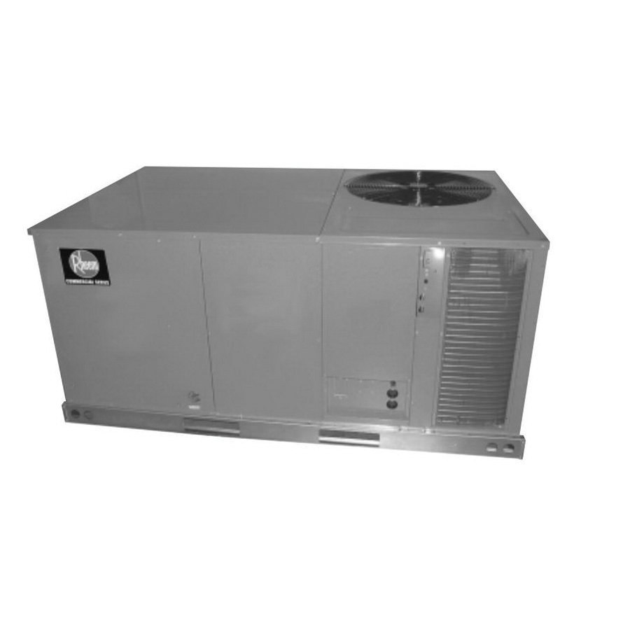 Rheem® RLNL-C048DM000