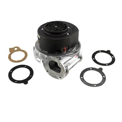 Lochinvar® 100145003