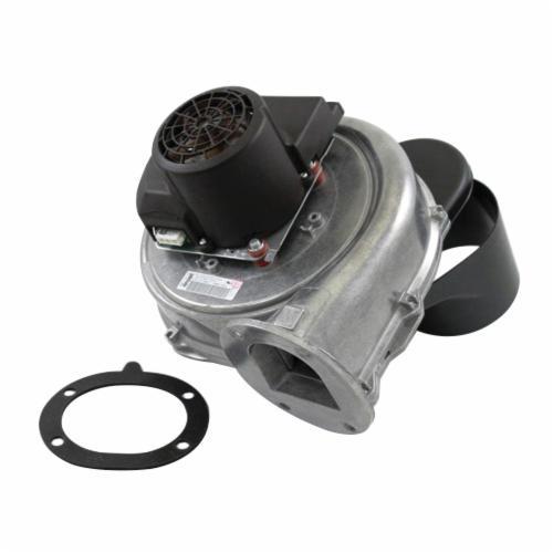 Lochinvar® 100145009