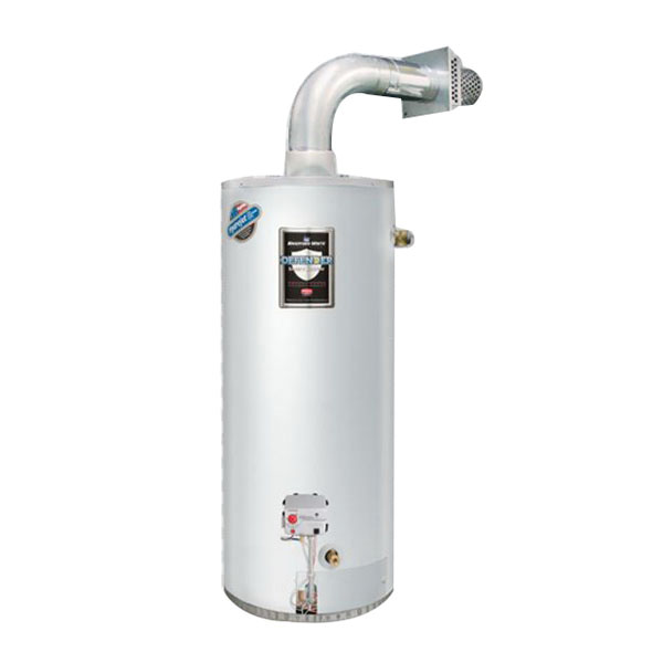 Bradford White® RG2DV50S6N-FLX