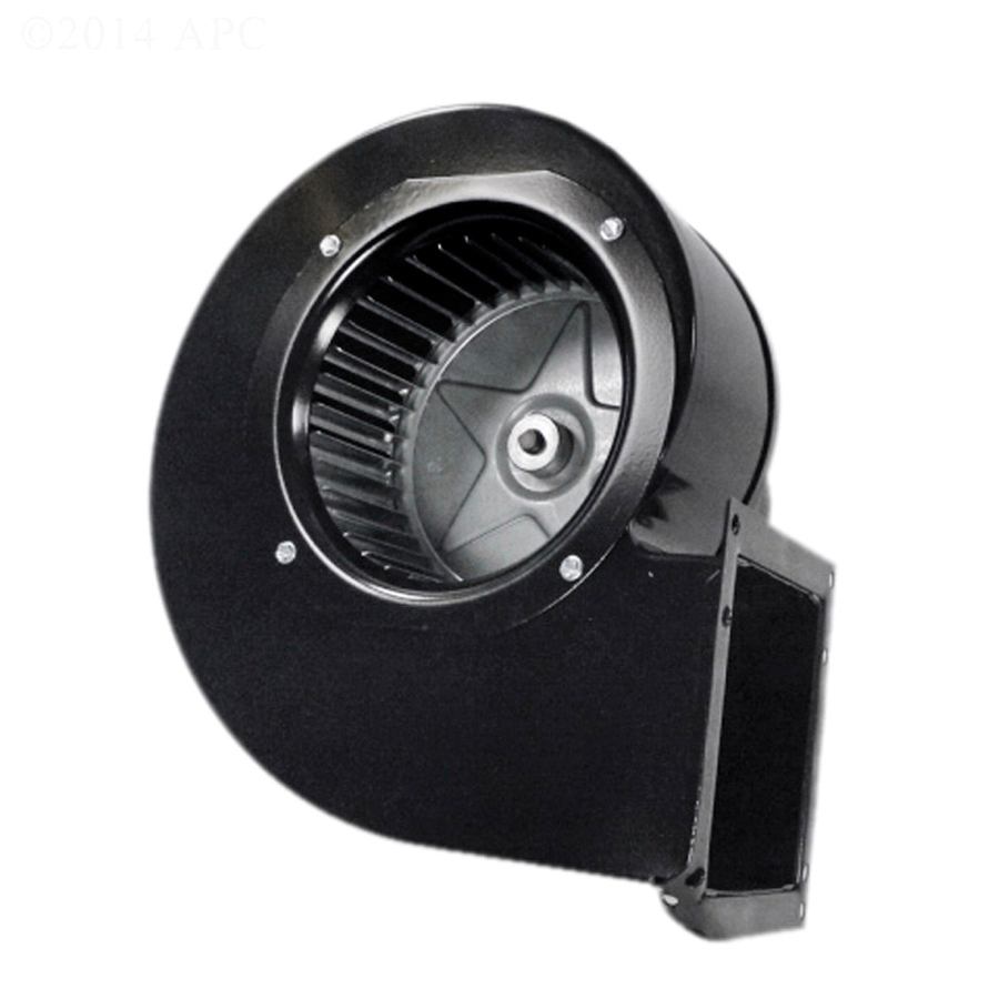 Raypak® 007413F