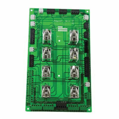 Raypak® 007902F