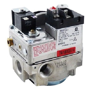 Raypak® 004824F